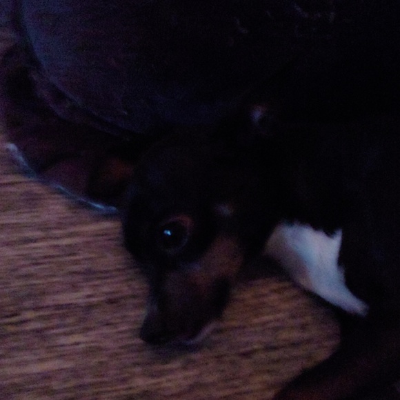 Meet your Posher, Carrie - Picture 6 of 6